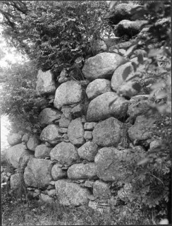 87, Del av norra långhusväggen foto Manne Hofrén 1931